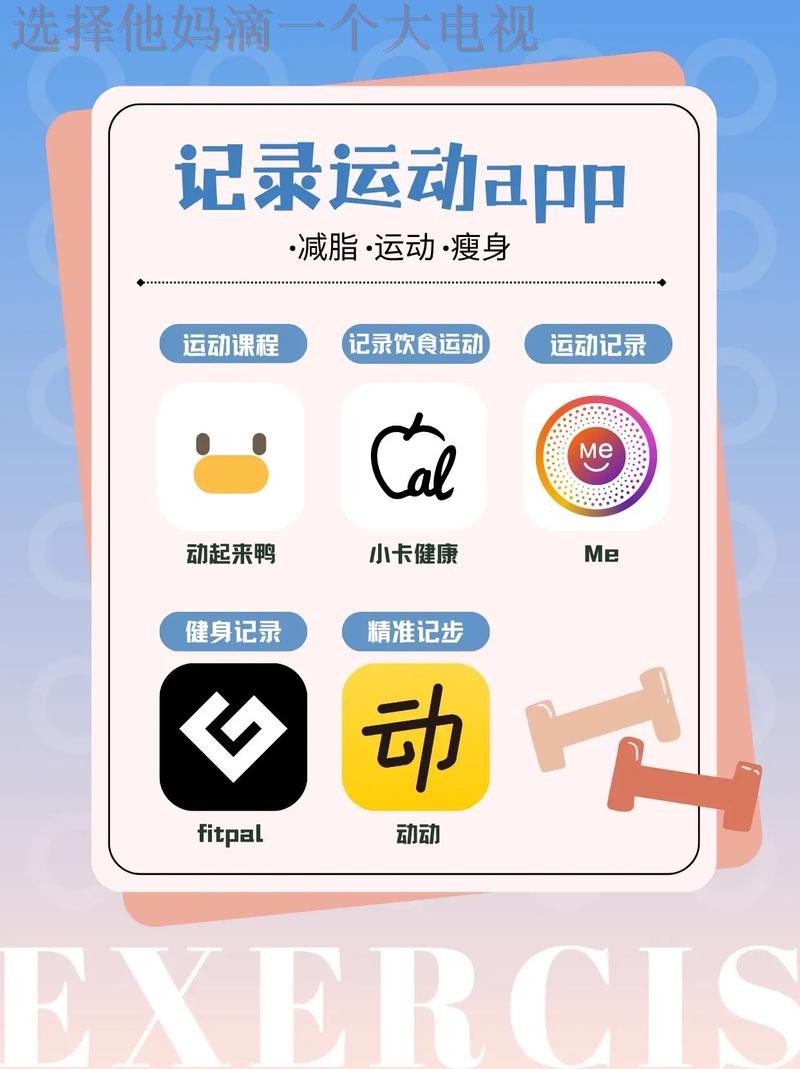 全面解析体育APP官网功能及使用技巧