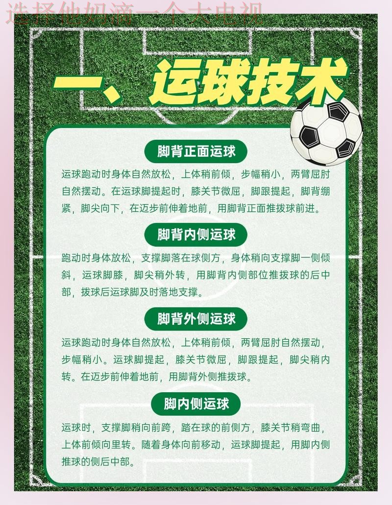 全面解析环球体育综合版